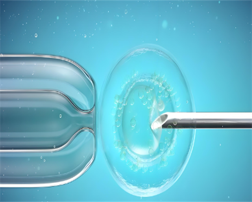 西安助孕价格解读：北京供卵机构（紫朵朵）助您圆梦