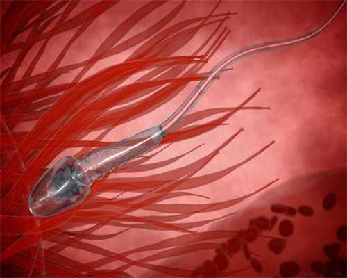 (a)代孕产子中心哪家专业,黑龙江供卵试管婴儿怀生子医院排名！附成功率参考