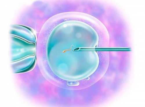 西安助孕机构如何选择？北京供卵公司名单揭秘，三甲私立机构对比_西安哪家强