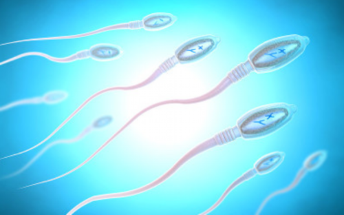 西安哪做代生好,成都西囡医院供卵（北京家圆医院供卵费用）-西安供卵试管机