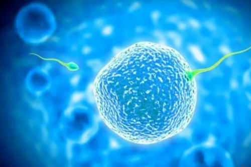 高龄备孕二胎：试管婴儿或自然受孕，41岁女性如何抉择？