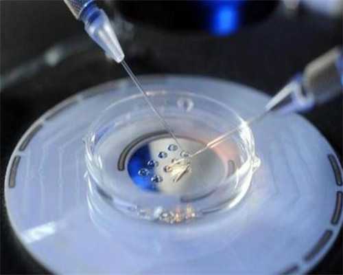 生育新希望：解析承德地区辅助生殖技术与费用