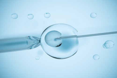 美国供卵试管婴儿一次成功率有多高？费用和影响因素详解