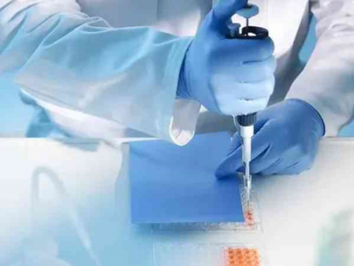 孕妇饮食考量：燕窝的益弊与健康替代方案