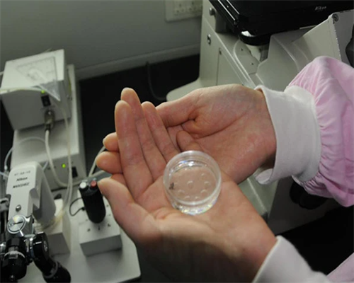 西安借卵技术揭秘：泰国试管婴儿如何实现安全无痛助孕？