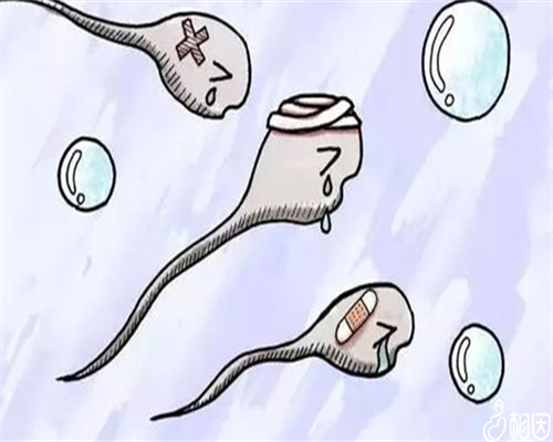 试管婴儿自然周期取卵后多久可恢复同房