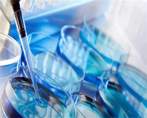 西安代怀经验分享：泰国试管移植单胎还是双胎？过来人揭秘