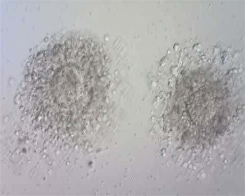 西安助孕机构：解读深圳三代试管婴儿费用与流程，附西安本地三甲医院选择指南