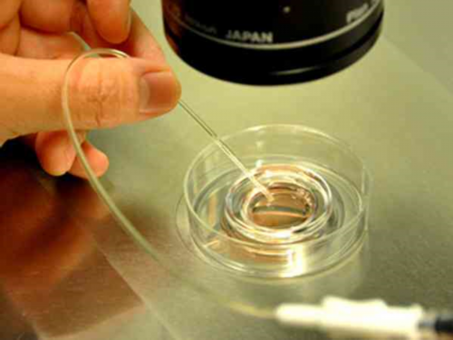 西安试管助孕指南：辅助生殖机构选择、费用与流程，兼顾供卵代怀需求