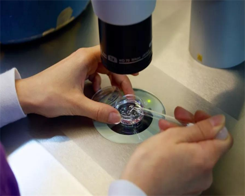 探寻中越家庭新篇章：婆媳关系在时代浪潮中的演变与和谐之道