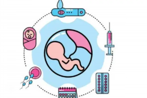 泰国三代试管婴儿取卵过程解析：疼痛度与注意事项