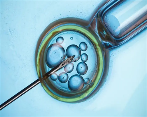 泰国三代试管婴儿助孕，成功率高吗？