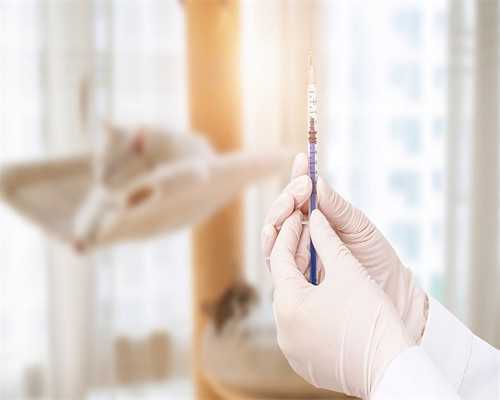 西安本地代生助孕指南：解析供卵成功率与费用