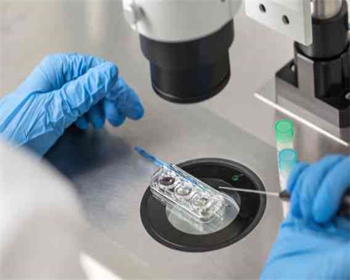 西安靠谱助孕机构严选：正规医院供卵服务解析