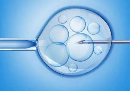 孕早期营养补充：呵护宝宝骨骼的5种美食