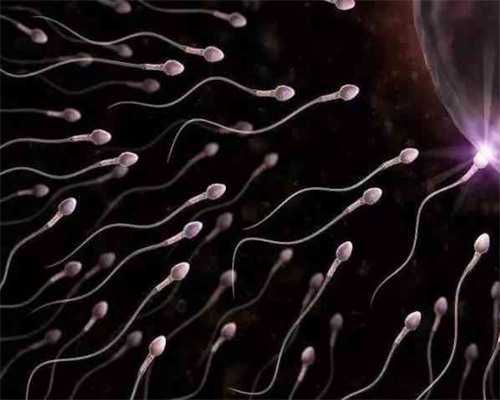 子宫内膜厚度对试管婴儿成功率的影响与调理