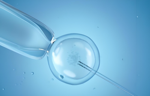 西安供卵试管婴儿：单胎或双胎妊娠成功率解析与生育指导