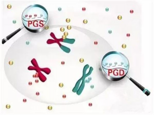 试管助孕移植后橙子食用指南