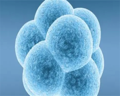 提高西安三代试管婴儿成功率：从卵精到移植的全方位指南