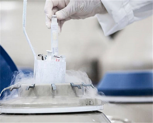 石家庄供卵试管婴儿医院推荐与费用解析