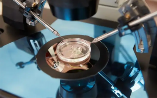 葫芦岛试管婴儿医院探究：助孕成功率提升的关键与技术选择