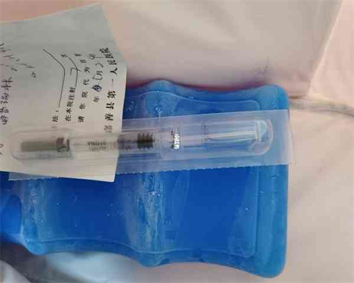 西安试管助孕推荐：北京高成功率私立试管医院排行解析