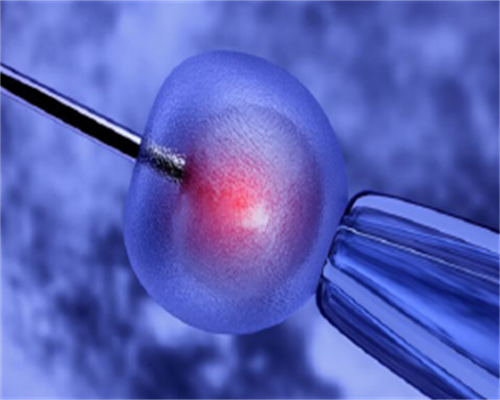 43岁女性能否成功受孕？高龄求子成功率分析