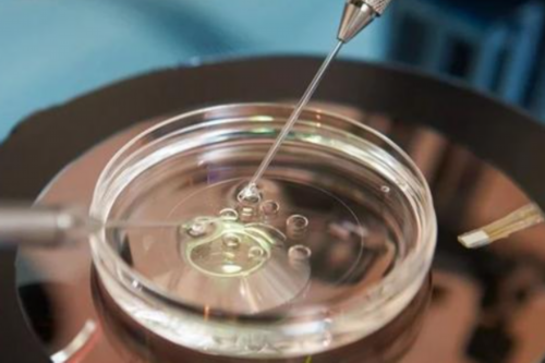 西安代怀的价格,2026
年武汉协和医院第三代试管包生男孩多少费用？-西安能做