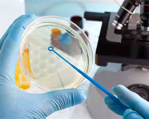 描述孩子活泼开朗的词语解析