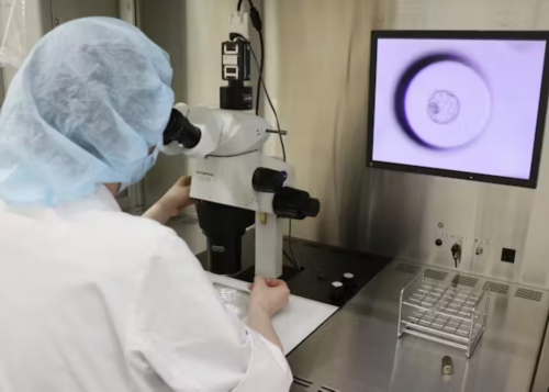 关于泰国试管婴儿“包成功”的真相与影响因素解析