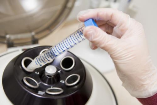 河南郑州供卵试管婴儿医院2026年更新排名与费用解析