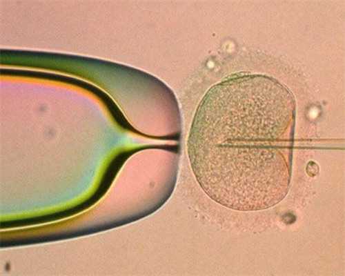 西安试管助孕：破解生男生女的民间传言，科学鉴别男女的方法