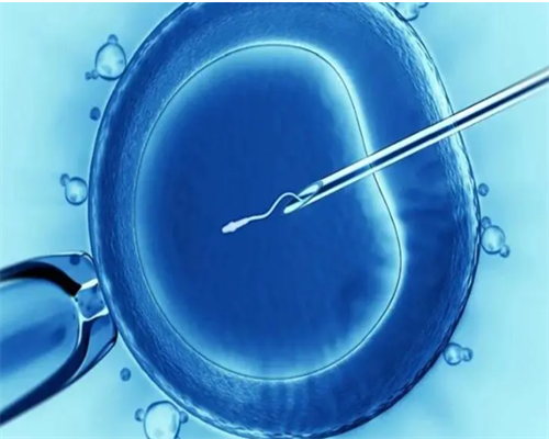 西安代生助孕机构：试管婴儿成功率与费用指南