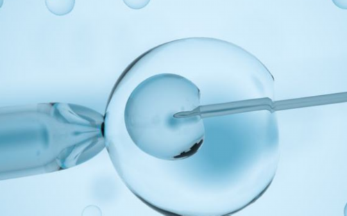 揭秘生育希望：优质卵泡试管成功率、费用与辅助生殖策略解析