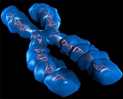 西安试管供卵公司：揭秘西安十大试管医院排名及领先选择