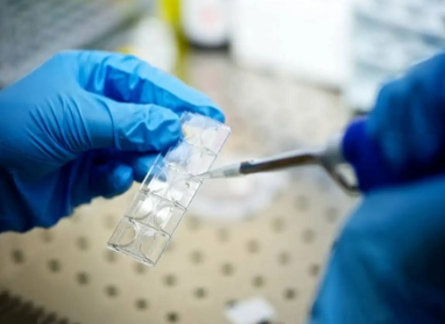 西安最好代怀公司,试管超长方案要多少时间需要几天-西安私立供卵机构_如何预