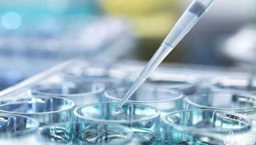 西安试管助孕：移植后饮食禁忌与备孕经验分享