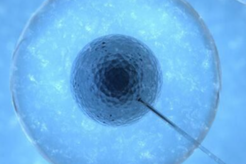 西安专业代孕费用,北京做试管婴儿的医院哪里好-陕西省妇幼保健院怎么样收费