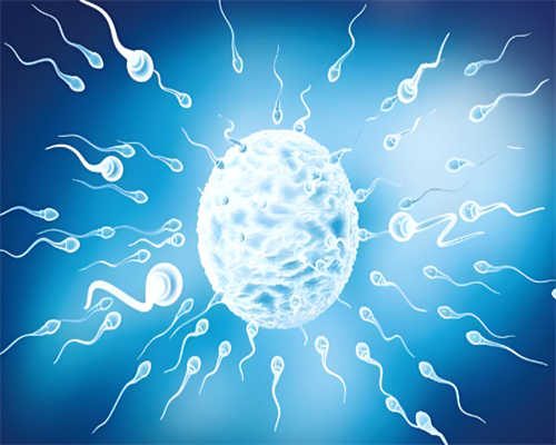 西安供卵女孩照片,说说试管婴儿胚胎级别怎么看？一般移植的标准是什么_西安