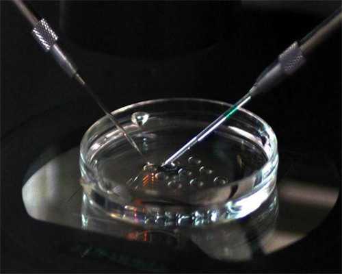 陕西省妇幼保健院的精子库：解答您关于人工授精和试管婴儿的疑问