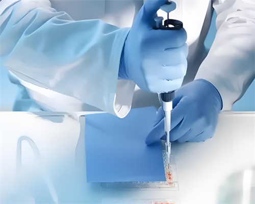 泰国第三代试管婴儿检查与流程解读