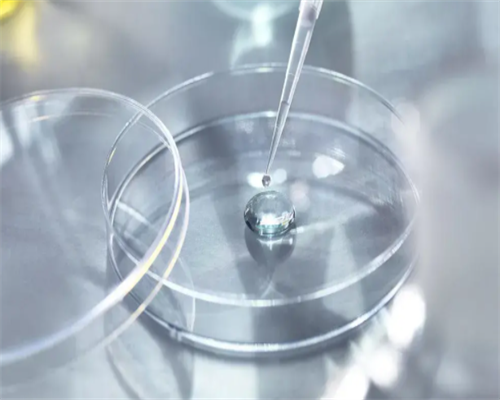 西安试管助孕前沿：费用、流程与专家解读