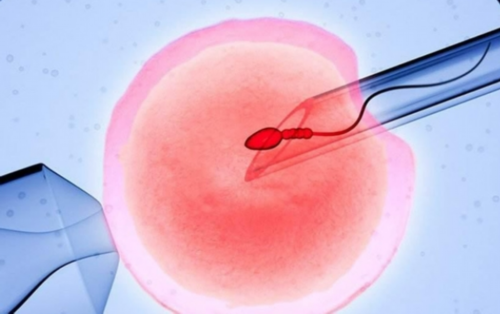 爱心捐卵，助孕家庭的希望与机遇