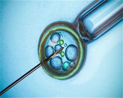 探究试管婴儿胎停、自然流产与精子质量的关系