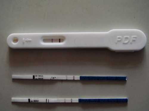 孕早期B超辨别胎儿性别，时机与准确性解析