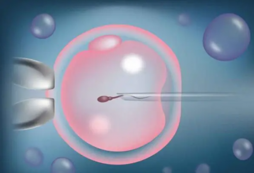 解析西安代怀价格与权威试管医院排行：选择的关键因素