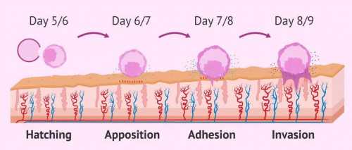 西安地区靠谱代怀机构推荐，莲湖区生殖医院助孕实力评估