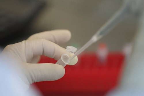 西安试管助孕：如何科学选择优质胚胎，提升成功率？