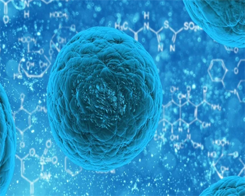 西安代生生子价格费用解答，北京供卵中心不排队医院介绍_西安供卵试管公司_试管婴儿