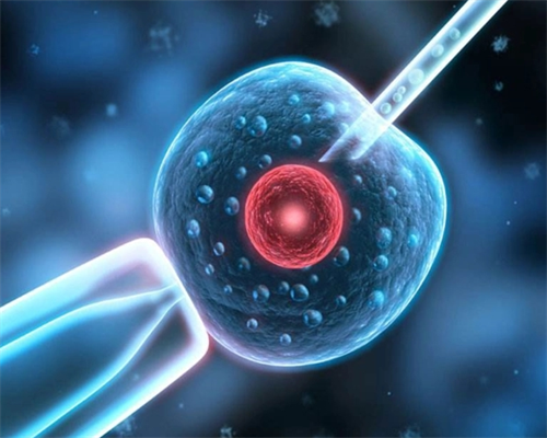 孕期关键筛查：忽视它或影响一生！你了解多少？